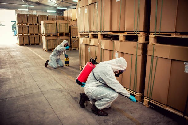 Best Wasp Removal Services  in Dravosburg, PA