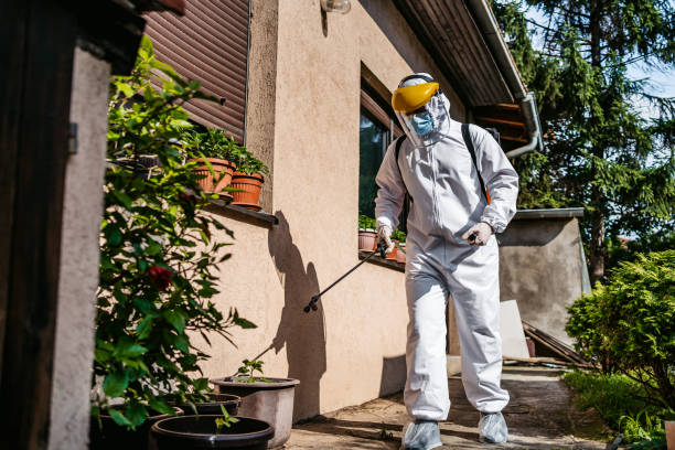 Best Bed Bug Extermination  in Dravosburg, PA