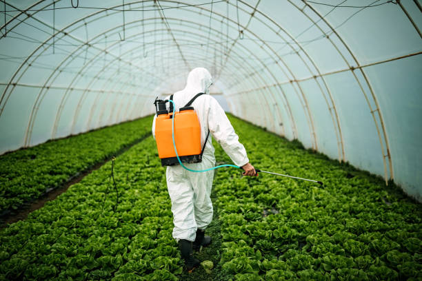 Best Pest Inspection Near Me  in Dravosburg, PA