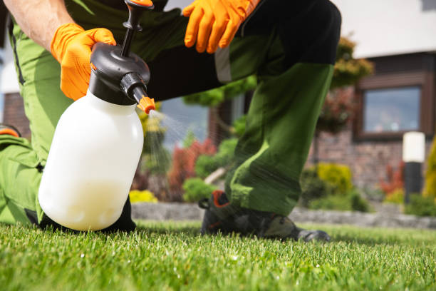Professional Pest Control in Dravosburg, PA