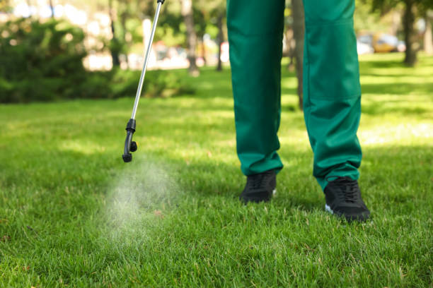 Best Local Pest Control Services  in Dravosburg, PA