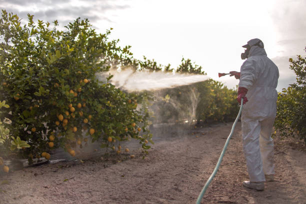 Pest Prevention Services in Dravosburg, PA