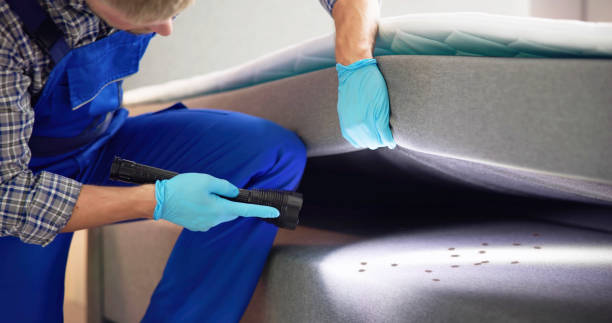 Best Mosquito Control Services  in Dravosburg, PA