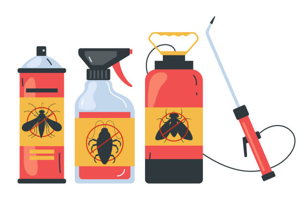 Best Bed Bug Extermination  in Dravosburg, PA