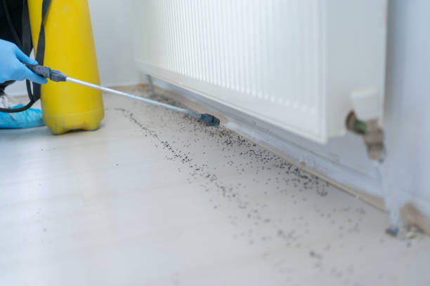 Best Best Pest Control Companies  in Dravosburg, PA