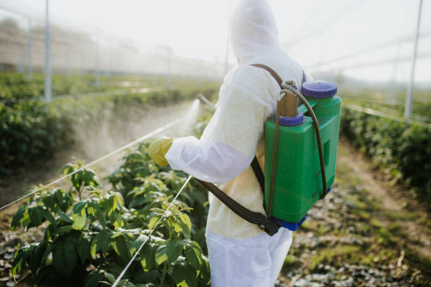 Best Mosquito Control Services  in Dravosburg, PA
